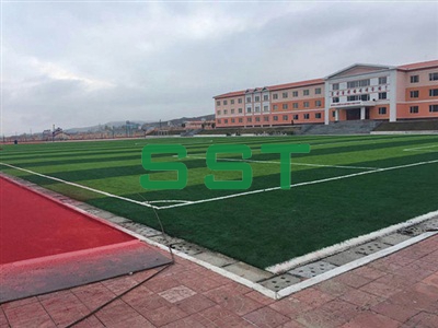 朝鲜 学校运动草坪